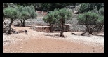 Zakynthos - Askos Stone Park -28-06-2022 - Bogdan Balaban